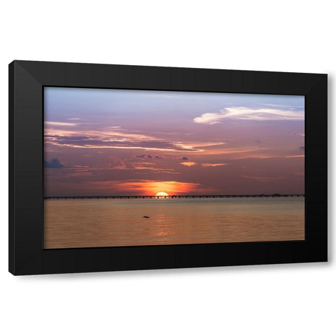 The sun rising behind the Skyway Bridge stunning purple sky and reflection on the Gulf of Mexico Black Modern Wood Framed Art Print with Double Matting by Haddad, Sheila