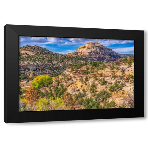 Colorful Autumn-Canyonlands National Park-Needles District-Utah Black Modern Wood Framed Art Print by Perry, William