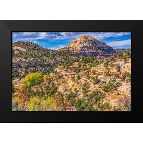 Colorful Autumn-Canyonlands National Park-Needles District-Utah Black Modern Wood Framed Art Print by Perry, William