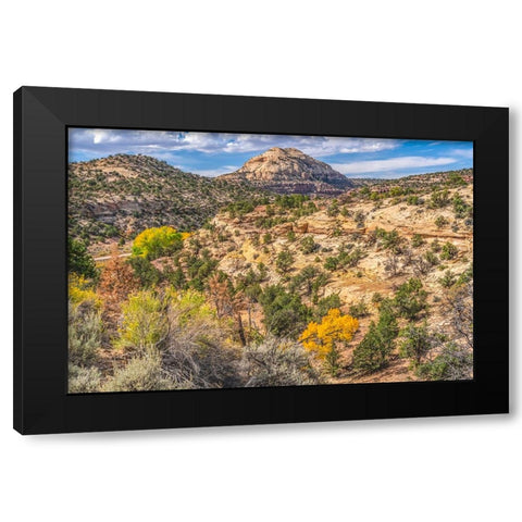 Colorful Autumn-Canyonlands National Park-Needles District-Utah Black Modern Wood Framed Art Print with Double Matting by Perry, William