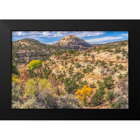 Colorful Autumn-Canyonlands National Park-Needles District-Utah Black Modern Wood Framed Art Print by Perry, William