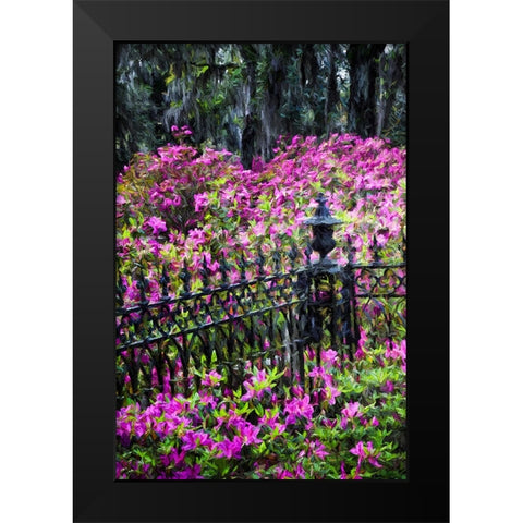Wrought Iron fence and azaleas in full bloom-Bonaventure Cemetery-Savannah-Georgia Black Modern Wood Framed Art Print by Jones, Adam
