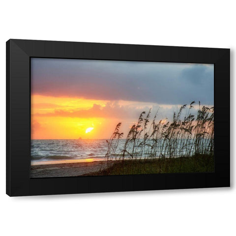 Sunrise on Atlantic Beach Black Modern Wood Framed Art Print with Double Matting by Miller, Anna