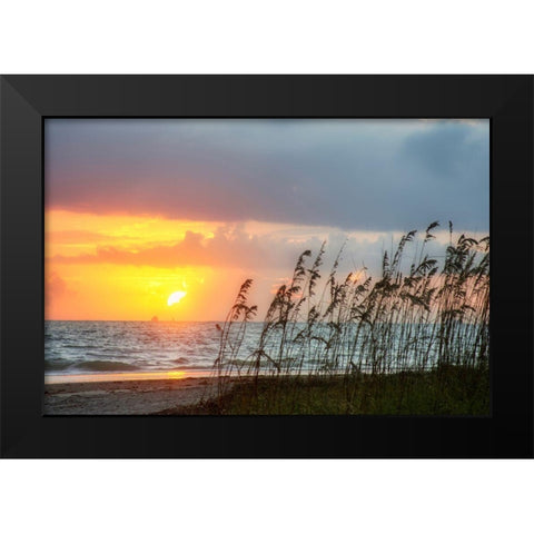 Sunrise on Atlantic Beach Black Modern Wood Framed Art Print by Miller, Anna