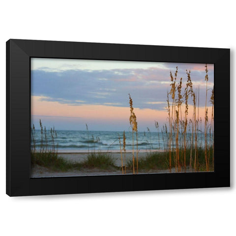Sea Oats against Sunset Sky-Tybee Island-Georgia-USA Black Modern Wood Framed Art Print with Double Matting by Miller, Anna