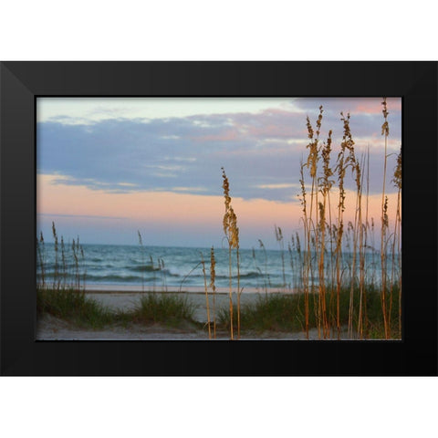 Sea Oats against Sunset Sky-Tybee Island-Georgia-USA Black Modern Wood Framed Art Print by Miller, Anna