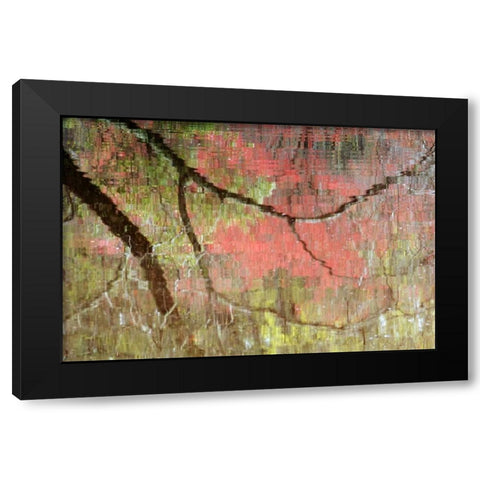 Georgia, Reflections of early spring buds in pond Black Modern Wood Framed Art Print by Rotenberg, Nancy