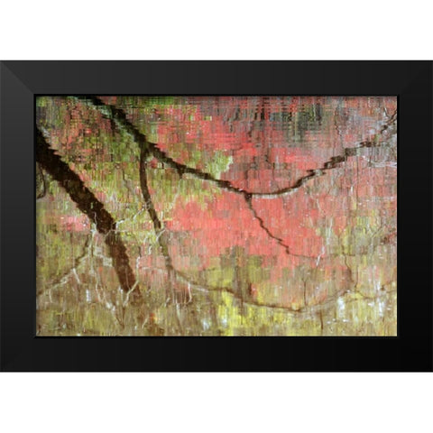 Georgia, Reflections of early spring buds in pond Black Modern Wood Framed Art Print by Rotenberg, Nancy