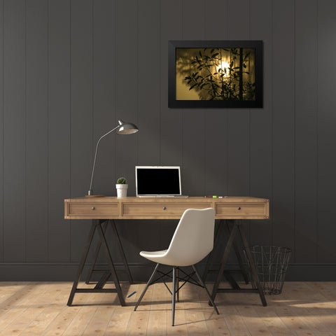 Georgia, Sunrise reflected in a pond Black Modern Wood Framed Art Print by Rotenberg, Nancy