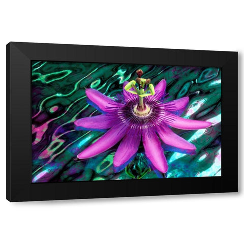 GA, Alpharetta Passion flower on stained glass Black Modern Wood Framed Art Print by Needle, Charles