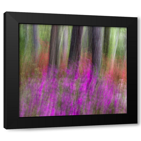 Colorful blurred garden abstract, Georgia Black Modern Wood Framed Art Print with Double Matting by Rotenberg, Nancy