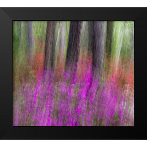 Colorful blurred garden abstract, Georgia Black Modern Wood Framed Art Print by Rotenberg, Nancy
