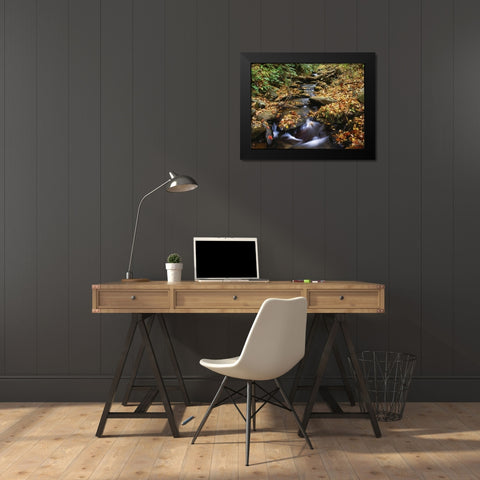 Georgia, Cherokee NF Small creek in autumn Black Modern Wood Framed Art Print by Flaherty, Dennis