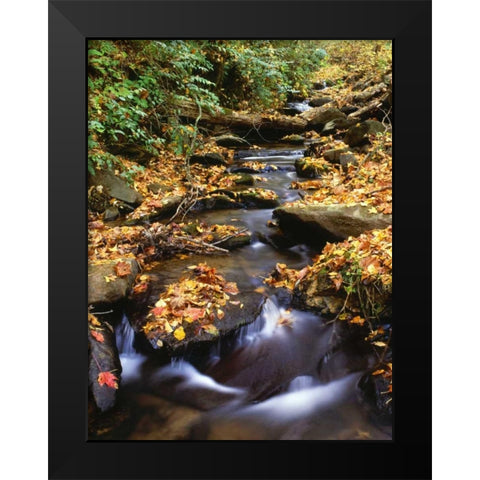 Georgia, Cherokee NF Small creek in autumn Black Modern Wood Framed Art Print by Flaherty, Dennis