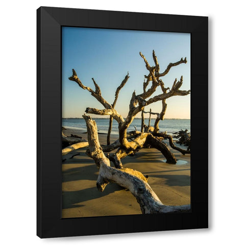 USA-Jekyll Island Black Modern Wood Framed Art Print by Theodore, George and Marilu