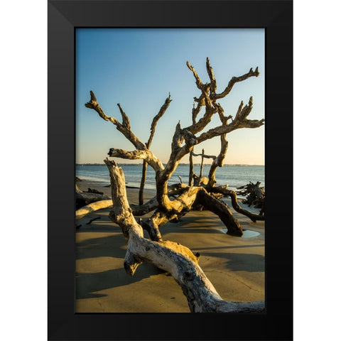 USA-Jekyll Island Black Modern Wood Framed Art Print by Theodore, George and Marilu