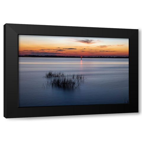 USA-Georgia-Jekyll Island-Sunset at Driftwood Beach and the petrified trees Black Modern Wood Framed Art Print by Looney, Hollice