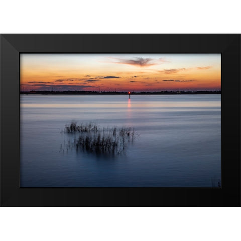 USA-Georgia-Jekyll Island-Sunset at Driftwood Beach and the petrified trees Black Modern Wood Framed Art Print by Looney, Hollice