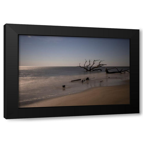 USA-Georgia-Jekyll Island-Sunset at Driftwood Beach and the petrified trees Black Modern Wood Framed Art Print with Double Matting by Looney, Hollice