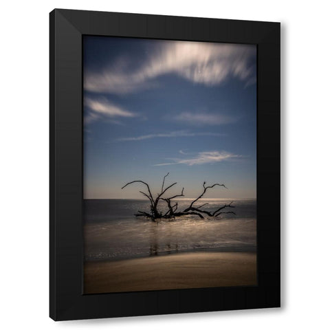 USA-Georgia-Jekyll Island-Sunset at Driftwood Beach and the petrified trees Black Modern Wood Framed Art Print with Double Matting by Looney, Hollice