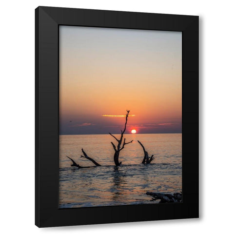 USA-Georgia-Jekyll Island-Sunrise on Driftwood Beach of petrified trees Black Modern Wood Framed Art Print with Double Matting by Looney, Hollice