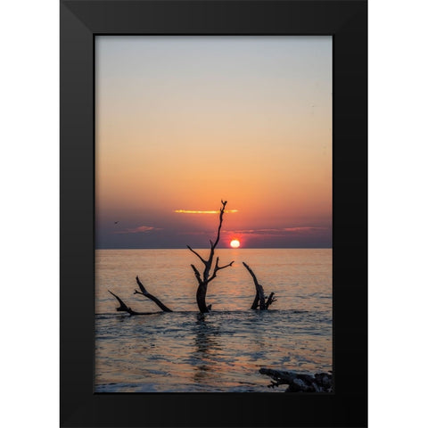 USA-Georgia-Jekyll Island-Sunrise on Driftwood Beach of petrified trees Black Modern Wood Framed Art Print by Looney, Hollice