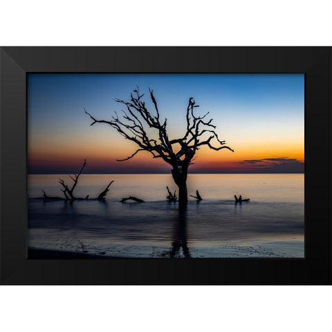 USA-Georgia-Jekyll Island-Sunrise on Driftwood Beach of petrified trees Black Modern Wood Framed Art Print by Looney, Hollice