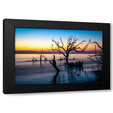 USA-Georgia-Jekyll Island-Sunrise on Driftwood Beach of petrified trees Black Modern Wood Framed Art Print with Double Matting by Looney, Hollice
