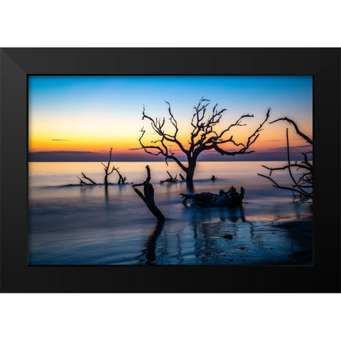USA-Georgia-Jekyll Island-Sunrise on Driftwood Beach of petrified trees Black Modern Wood Framed Art Print by Looney, Hollice