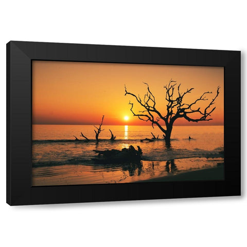USA-Georgia-Jekyll Island-Sunrise on Driftwood Beach of petrified trees Black Modern Wood Framed Art Print with Double Matting by Looney, Hollice
