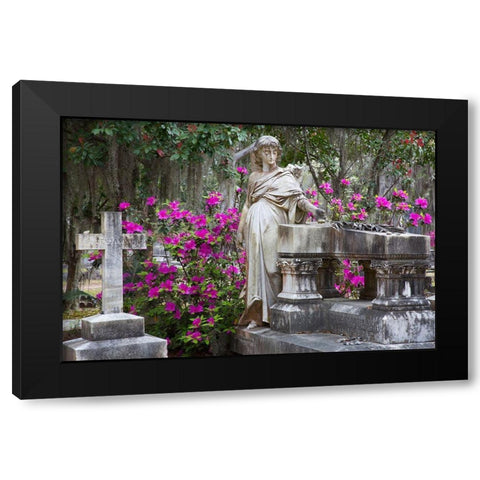 Georgia-Savannah-Bonaventure Cemetery in the spring with azaleas in bloom Black Modern Wood Framed Art Print by Wells, Joanne