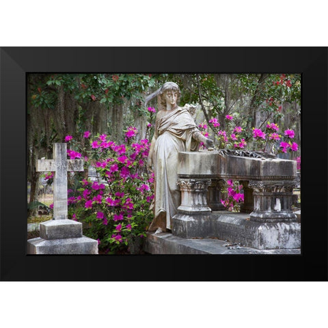 Georgia-Savannah-Bonaventure Cemetery in the spring with azaleas in bloom Black Modern Wood Framed Art Print by Wells, Joanne