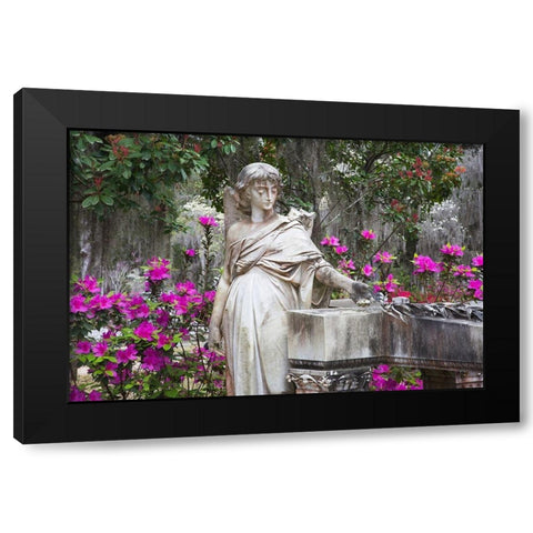 Georgia-Savannah-Bonaventure Cemetery in the spring with azaleas in bloom Black Modern Wood Framed Art Print with Double Matting by Wells, Joanne