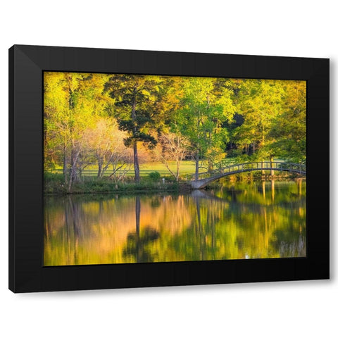 Georgia-Callaway gardens springtime Black Modern Wood Framed Art Print by Gulin, Sylvia