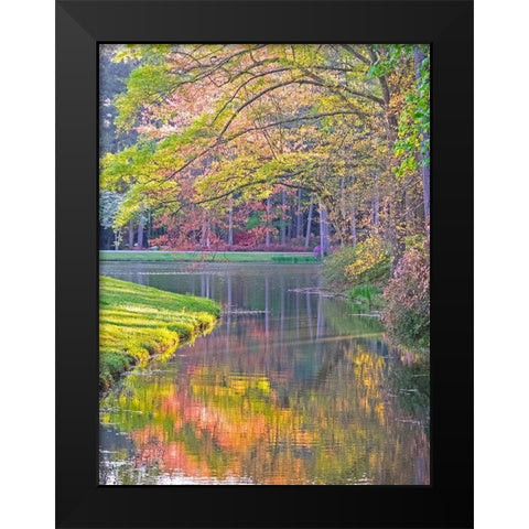 Georgia-Callaway gardens springtime Black Modern Wood Framed Art Print by Gulin, Sylvia