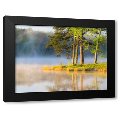 Georgia-Callaway gardens springtime Black Modern Wood Framed Art Print with Double Matting by Gulin, Sylvia