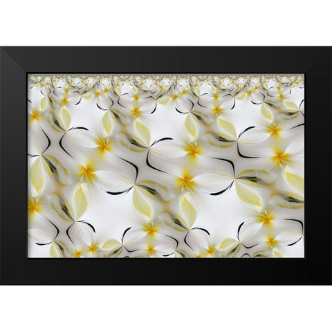 Plumerias a genus of flowering plants in the dogbane family-Maui-Hawaii Black Modern Wood Framed Art Print by Jones, Adam