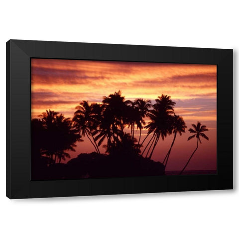 USA, Hawaii, Big Island Sunset over palm grove Black Modern Wood Framed Art Print with Double Matting by Ross, Nancy ,  Steve