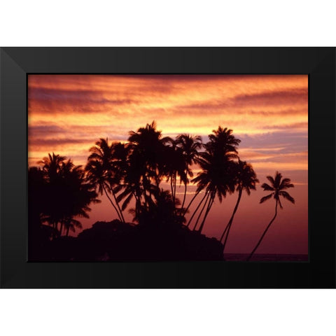 USA, Hawaii, Big Island Sunset over palm grove Black Modern Wood Framed Art Print by Ross, Nancy ,  Steve