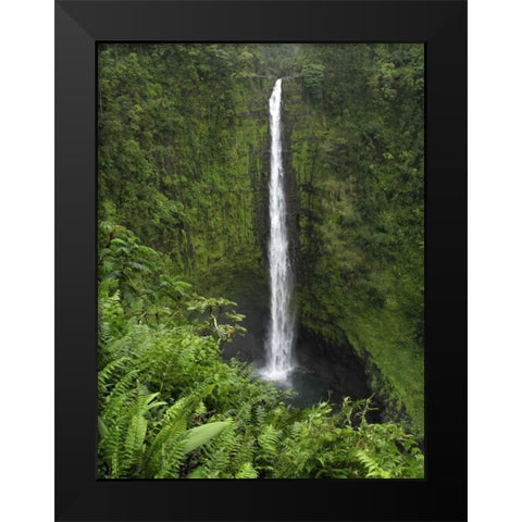 USA, Hawaii, Hilo View if Akaka Falls Black Modern Wood Framed Art Print by Kaveney, Wendy