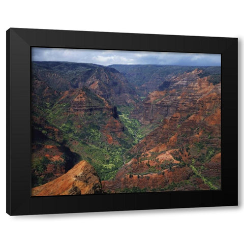 USA, Hawaii, Kauai Waimea Canyon overlook Black Modern Wood Framed Art Print by Flaherty, Dennis