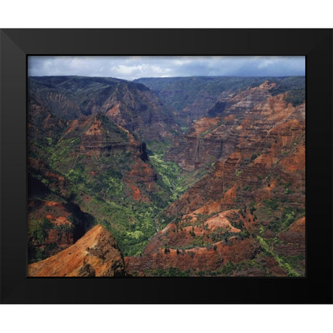 USA, Hawaii, Kauai Waimea Canyon overlook Black Modern Wood Framed Art Print by Flaherty, Dennis