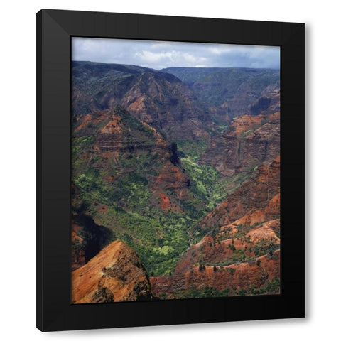 USA, Hawaii, Kauai Waimea Canyon overlook Black Modern Wood Framed Art Print with Double Matting by Flaherty, Dennis