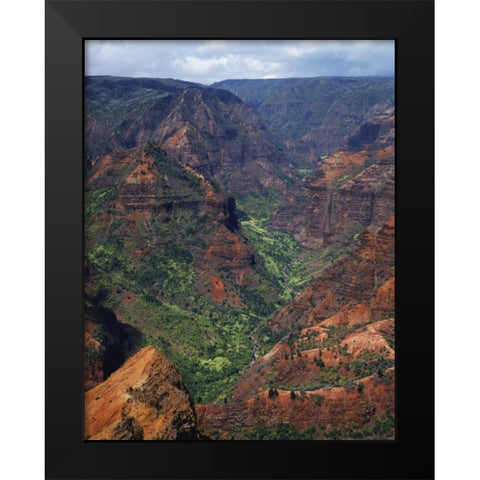 USA, Hawaii, Kauai Waimea Canyon overlook Black Modern Wood Framed Art Print by Flaherty, Dennis