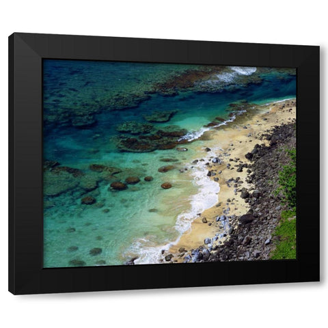 Hawaii, Kauai A coral reef on the Na Pali coast Black Modern Wood Framed Art Print with Double Matting by Talbot Frank, Christopher