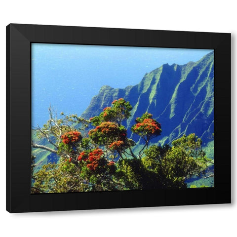 HI, Kauai Flowering tree above the Na Pali Coast Black Modern Wood Framed Art Print with Double Matting by Talbot Frank, Christopher