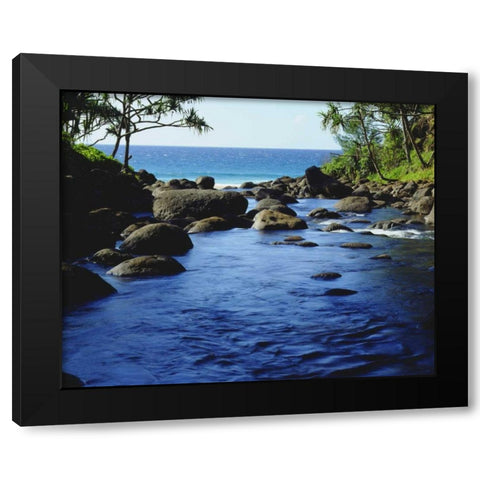 HI, Kauai Stream on the Na Pali coast Black Modern Wood Framed Art Print with Double Matting by Talbot Frank, Christopher