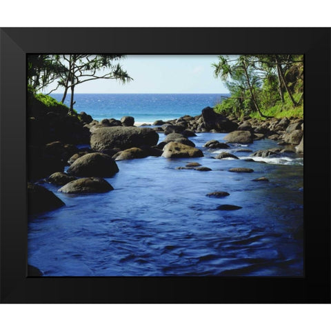 HI, Kauai Stream on the Na Pali coast Black Modern Wood Framed Art Print by Talbot Frank, Christopher