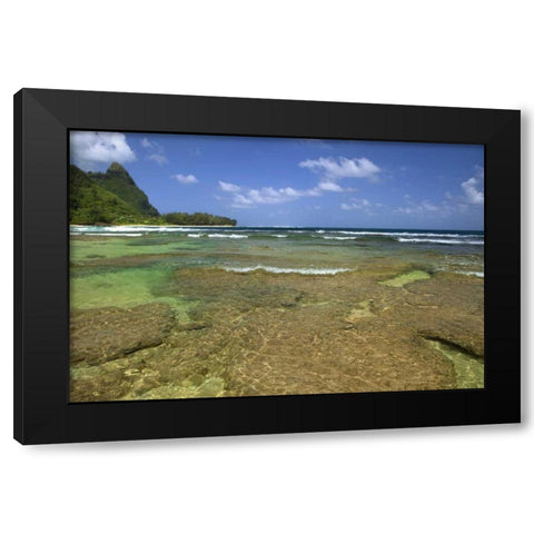 Hawaii, Kauai Coral formations on Tunnels Beach Black Modern Wood Framed Art Print with Double Matting by Flaherty, Dennis