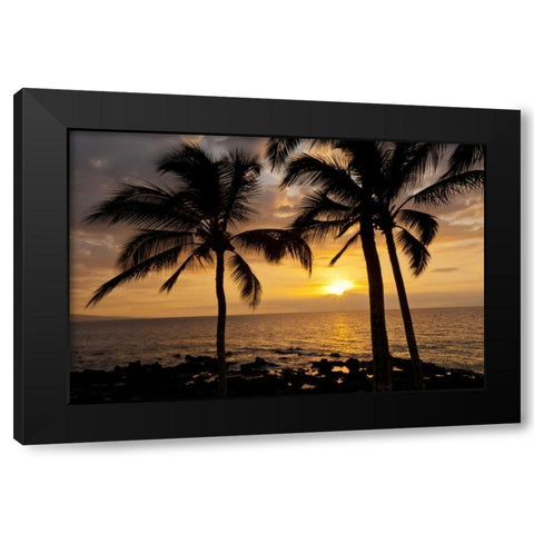 USA, Hawaii, Maui, Kihei Palm tree sunset Black Modern Wood Framed Art Print with Double Matting by Illg, Cathy and Gordon